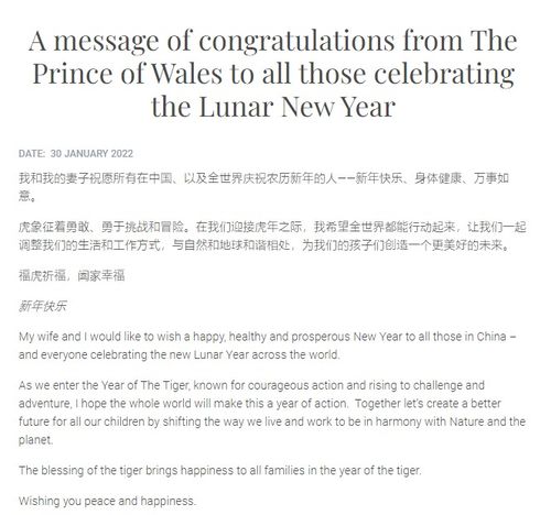 新年快乐英语作文30字
