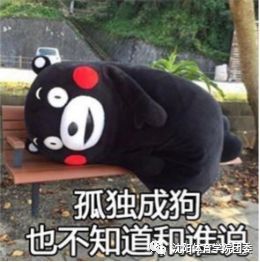 咆哮什么意思