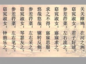 诗经二首文言文现象