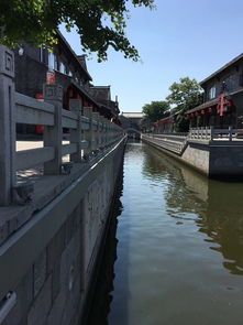 水街夜市一条街怎么样，水街520号的狸猫