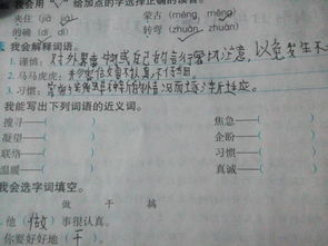 量身打造的近义词，打造的近义词响亮一点