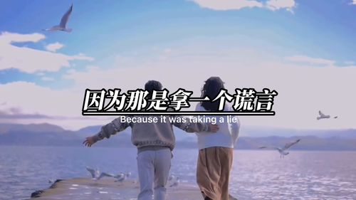 欺瞒的解释及造句
