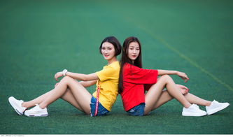 姊妹花歌曲，姊妹花表达的什么意思