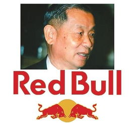 许书标简介，许书恩是哪里人