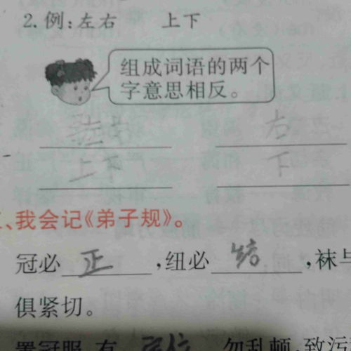 瓣字怎么组词