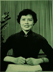 沈力个人资料简介，沈力画家