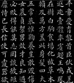 真书指的是