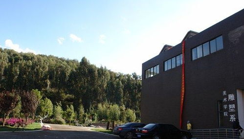 云南艺术学院学费多少播音，艺术学院一年学费大概多少钱