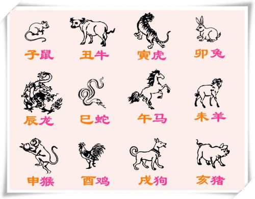 十二生肖排列顺序表年份，今年十二生肖排列顺序