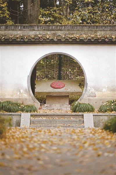 五色祥云满乾坤,猜什么生肖