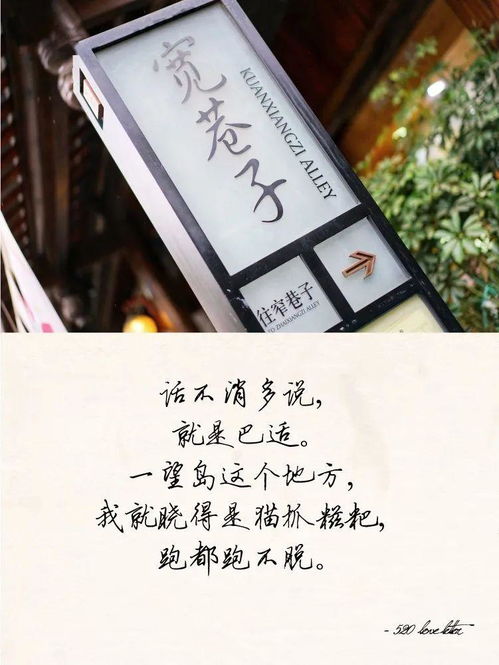 日文.贵样是什么意思