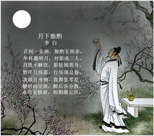 月下独酌古诗讲解视频，月下独酌古诗讲解