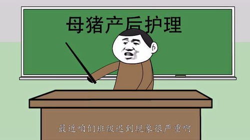 迟到签卡一般用什么理由