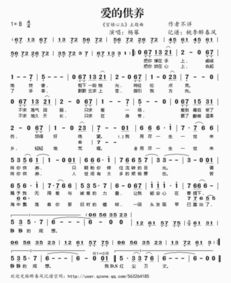爱的供养歌词表达什么意思，爱的供养歌词原作者