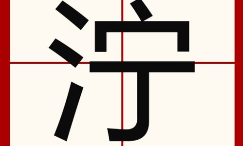 泞字可以组什么词?
