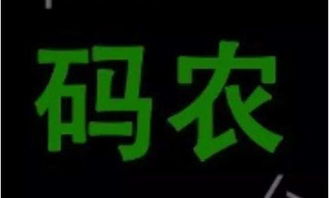 码农啊码农是什么意思，美国码农是什么意思