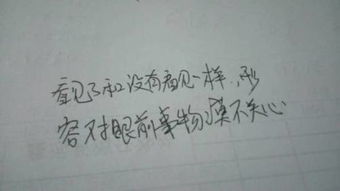 视若无睹的意思是啥啊，视而不见的意思