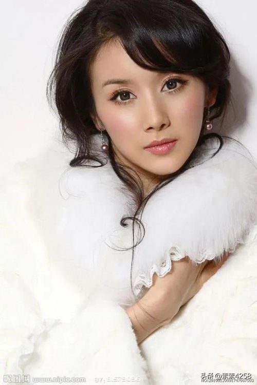 杨雪演过哪些电视剧