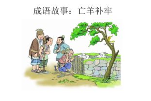 亡羊补牢的意思是什么?