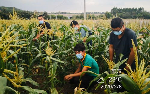四川大农集团有限公司效益怎么样