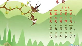古诗春晓的解释