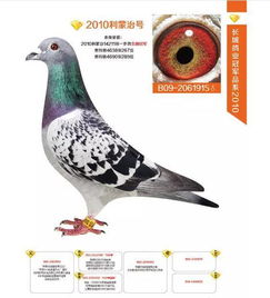 关于长城的民族歌谣