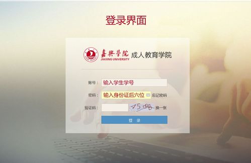 嘉兴学院教务处教务管理系统登录入口