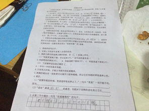 菜园作文300字，夏天的菜园作文