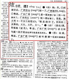 烧的拼音