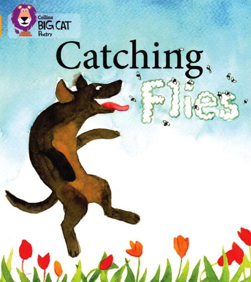 catching怎么读音