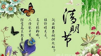 清明节有感500字，清明节有感100字