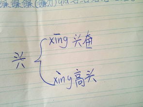 兴组词多音字组词一年级，了 多音字组词