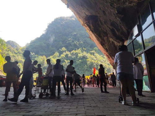 余庆县人口，余庆县有多少人口