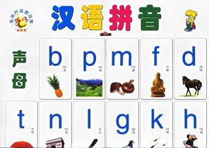 忌怎么读 忌的拼音是什么