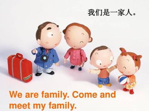 family的复数是什么意思中文翻译，family复数怎么变