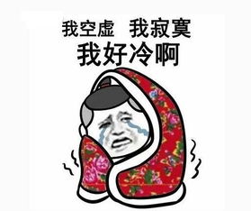 好冷啊英文，好冷啊怎么回复她