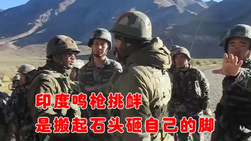 悍然不顾的意思，悍然不顾的意思解释