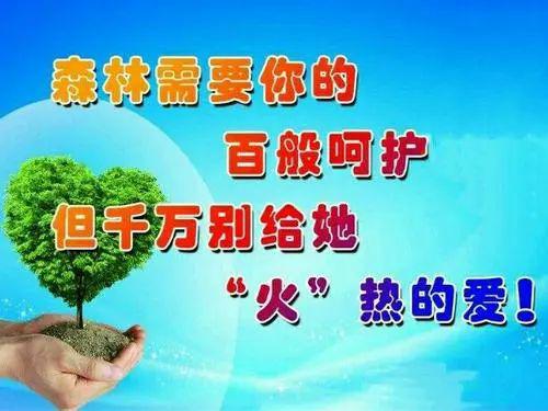 儿童百科知识精选大全