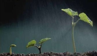 春雨贵如油的意思是什么?这句话写出了春雨的什么?，春雨贵如油下一句全诗