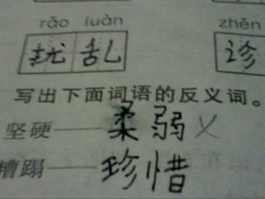 坚固的反义词是什么 标准答案，牢固的反义词是什么 标准答案