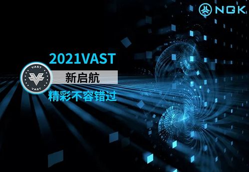 vast什么意思