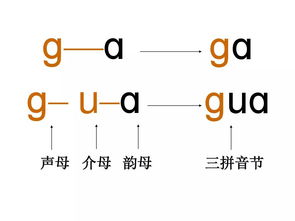 蚱怎么组词和拼音?