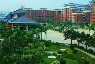 广东华立学院2022分数线