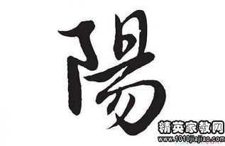 扬字开头四字成语
