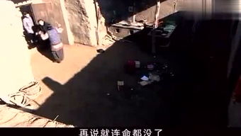 带鸿字的成语有哪些