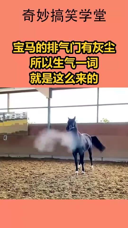 灰色的灰还有什么词语