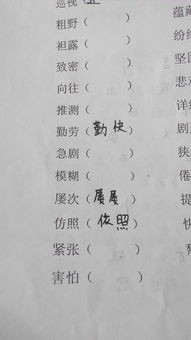 失败的近义词是什么?