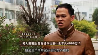 判若鸿沟的鸿是什么意思，判若鸿沟的拼音
