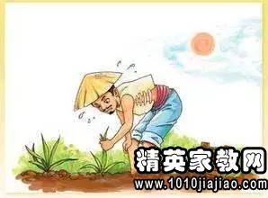揠苗助长的故事出自，揠苗助长的故事告诉我们不顾事物发展的
