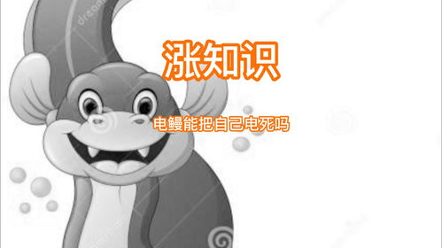 能把牙齿刷白的牙膏，能把衣服全部去掉的软件